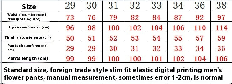 Streetwear Men's Designer Digital Printed Pants