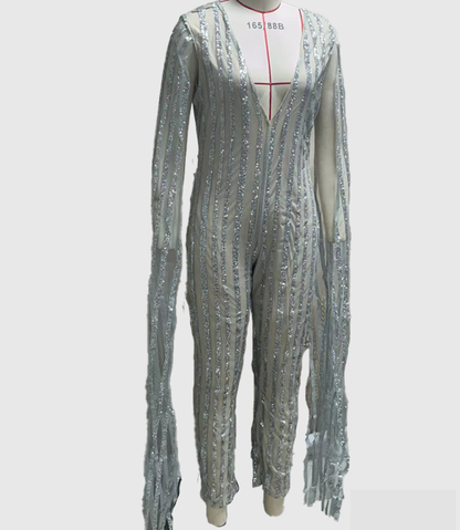 Women's Jumpsuit Long Sleeved Slim Fit