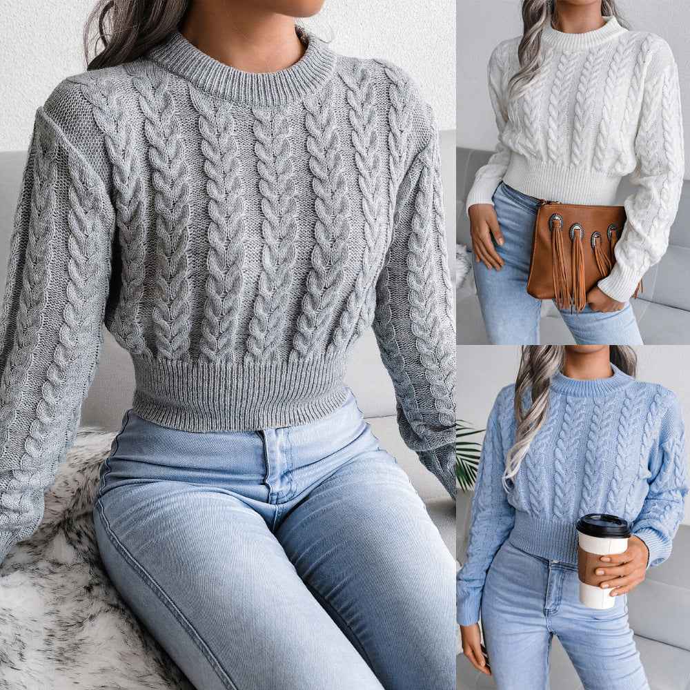 Waist Trimming Knitted Cropped Sweater