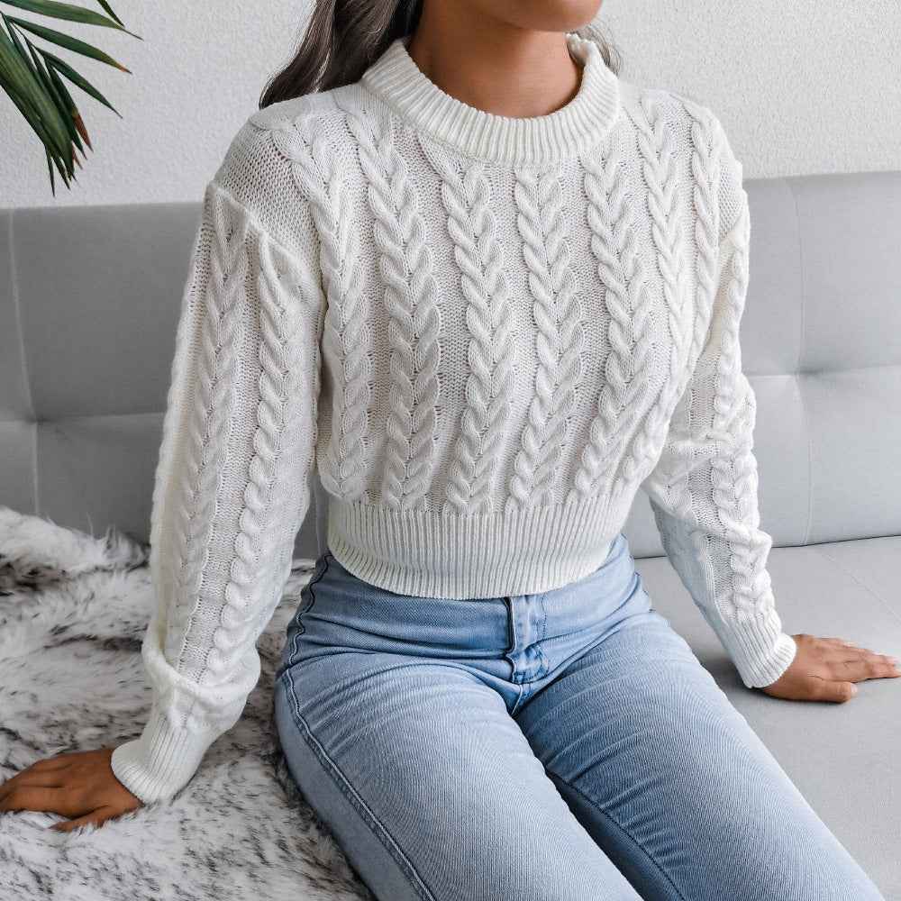 Waist Trimming Knitted Cropped Sweater