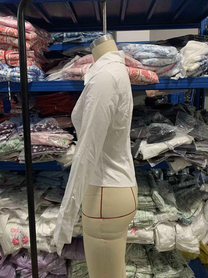 Solid Color Slim Fit Blouse