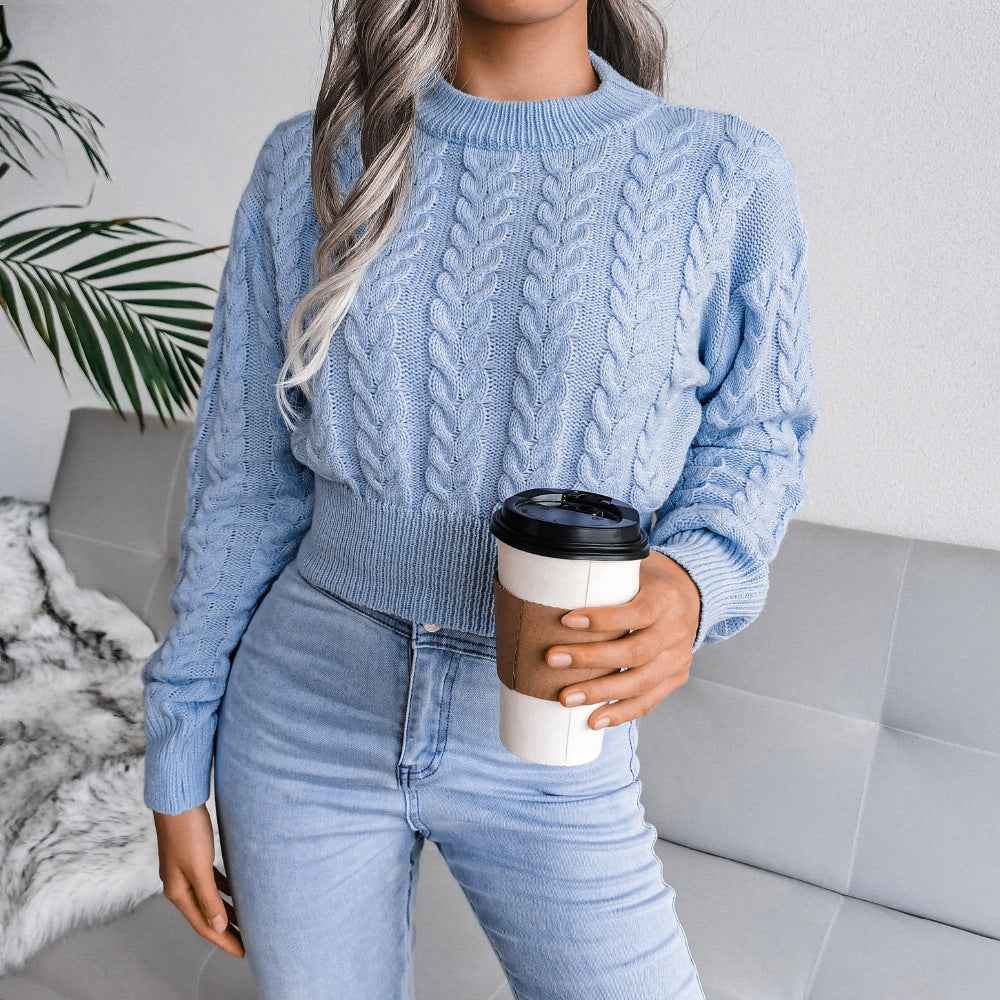 Waist Trimming Knitted Cropped Sweater