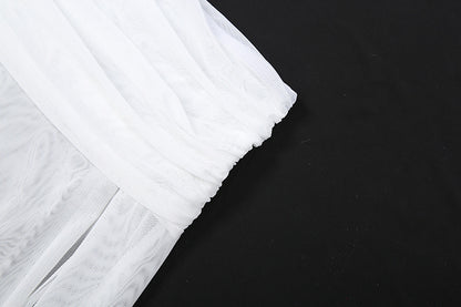 See through Turtle Bell Sleeve Split Skirt Set