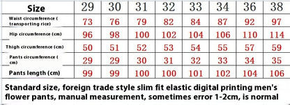Streetwear Men's Designer Digital Printed Pants